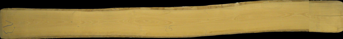 ungedämpfte Buche Schnittholz unbesäumt, 32mm, Qualität A/B, #166688