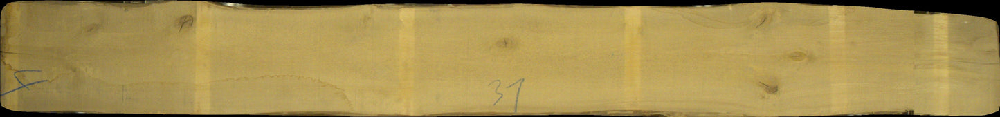 Birke Schnittholz unbesäumt, rustikal, 36mm #166689