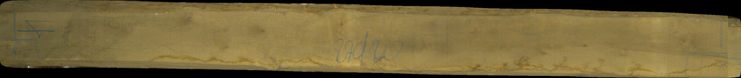 Birke Schnittholz unbesäumt, 52mm #166692