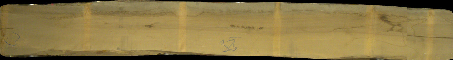 Birke Schnittholz unbesäumt, 52mm #166693