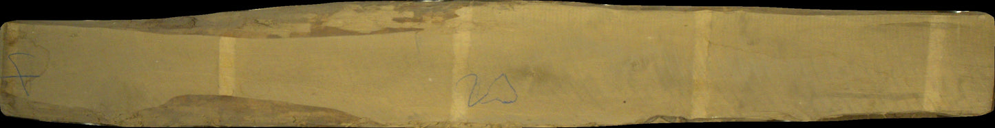 Birke Schnittholz unbesäumt, 52mm #166693