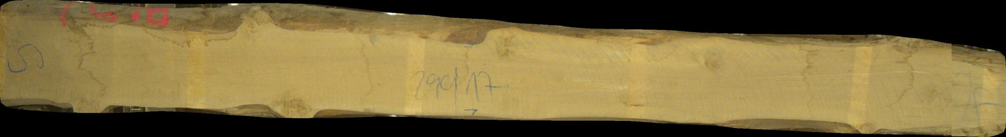 Birke Schnittholz unbesäumt, 52mm #166693