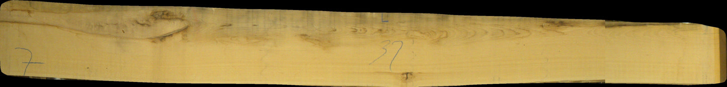 ungedämpfte Buche Schnittholz unbesäumt, 52mm, Qualität A/B, #166719