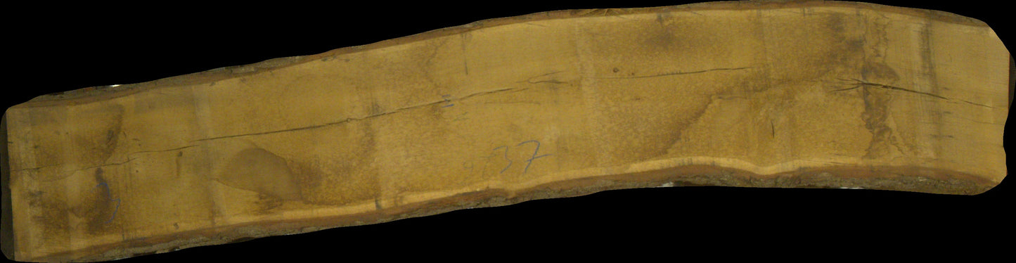 Eiche Schnittholz unbesäumt, 60mm, Qualität A/B, mit Rinde #166725