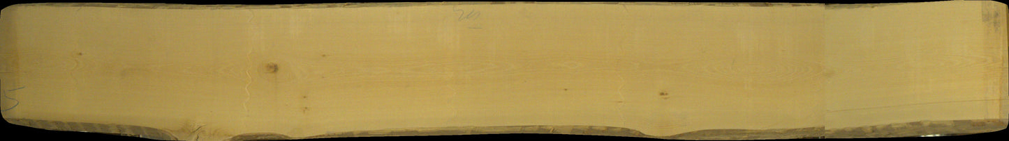 ungedämpfte Buche Schnittholz unbesäumt, 60mm, Qualität A/B, #166737