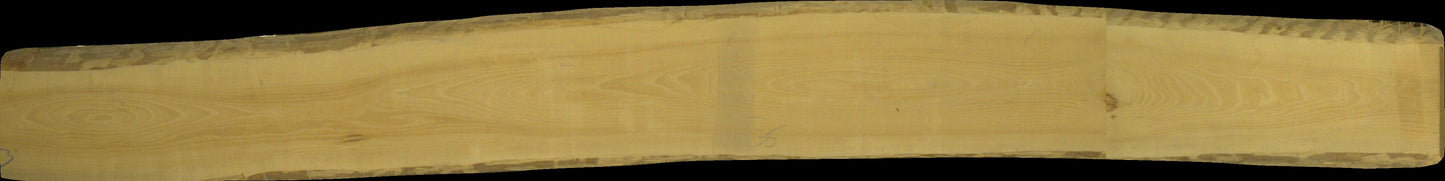 ungedämpfte Buche Schnittholz unbesäumt, 60mm, Qualität A/B, #166738