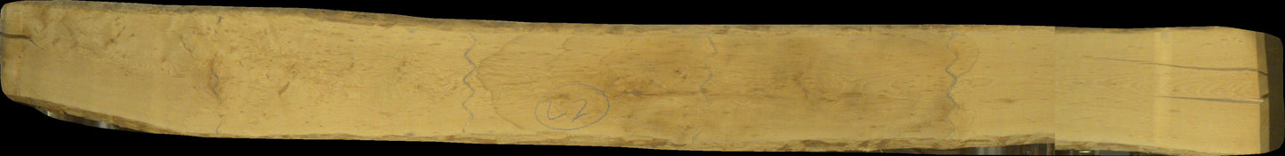ungedämpfte Buche Schnittholz Unikat, 38mm, #170545