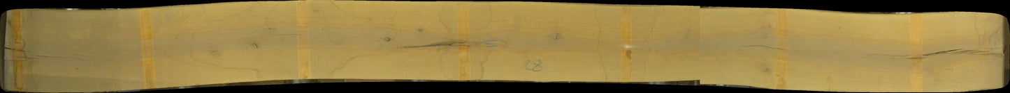 Erle Schnittholz, 26mm, #171061